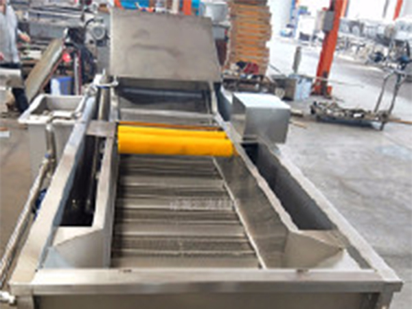 草莓清洗機(jī)、瓜果蔬菜氣泡清洗機(jī)